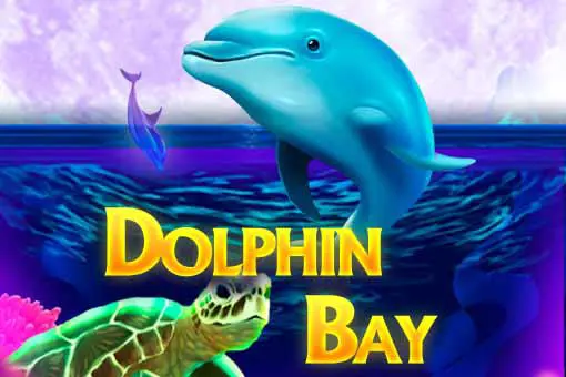 Dolphin Bay 